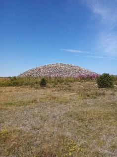 Uggarde Rojr Gotland